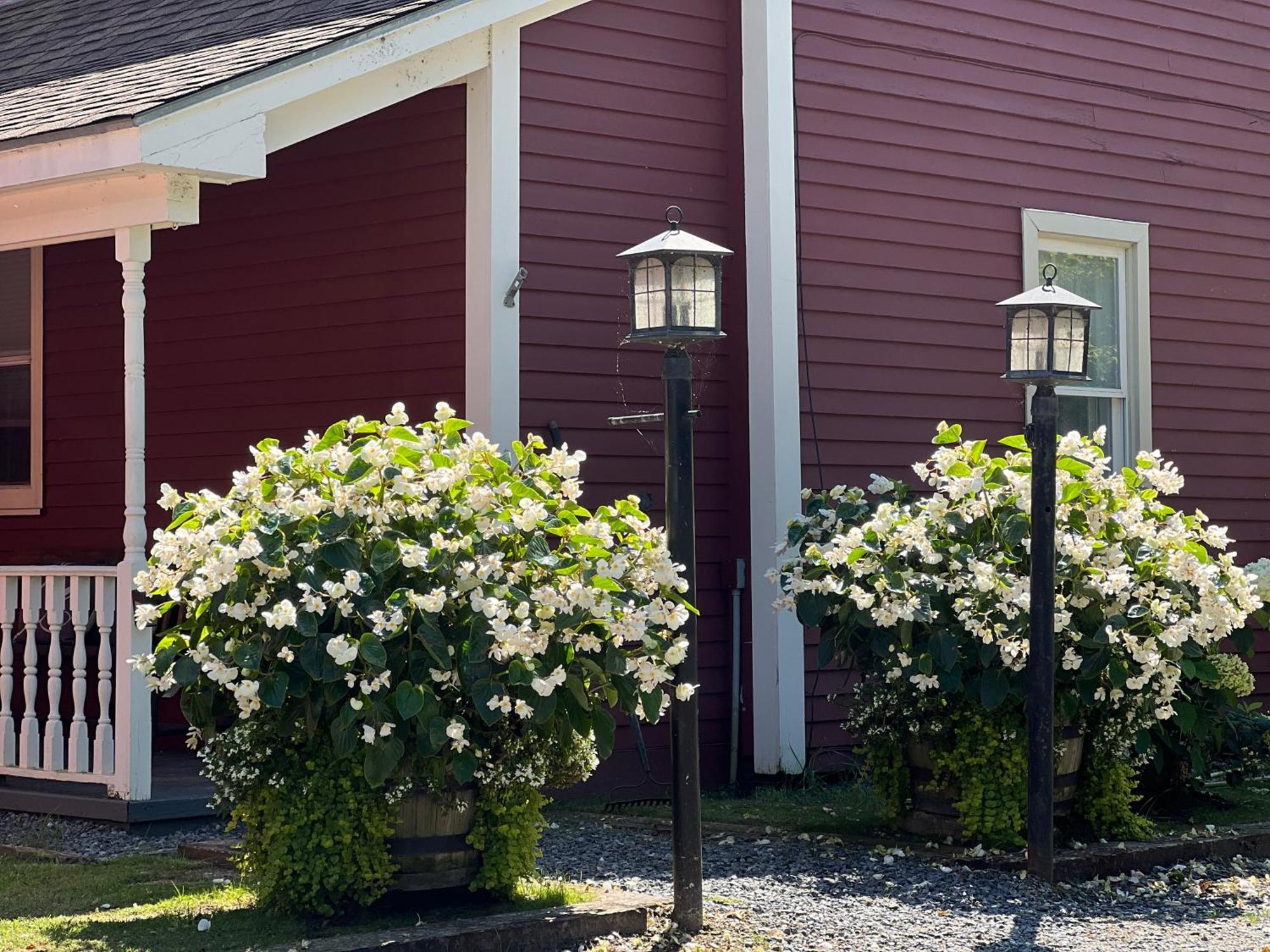 The Nutmeg Vermont Wilmington Exterior photo